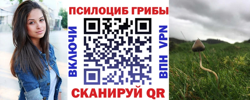 Галлюциногенные грибы Magic Shrooms  Азнакаево 