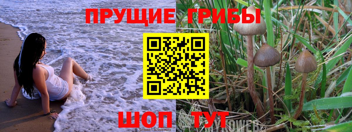 Азнакаево  Галлюциногенные грибы GOLDEN TEACHER  Вход с VPN  Псилоцибиновые грибы ЛСД 