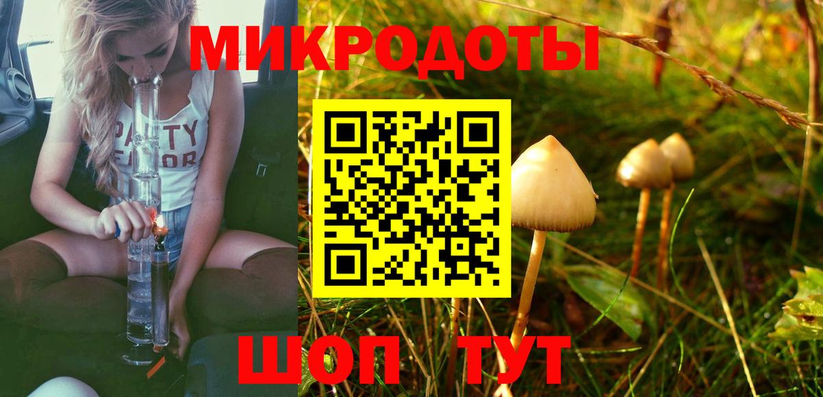 Псилоцибиновые грибы прущие грибы Азнакаево